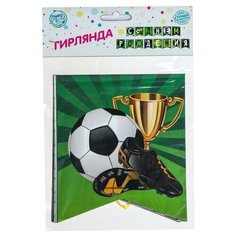 Гирлянда бумажная «С днём рождения», мячики Страна Карнавалия