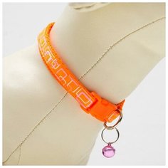 Ошейник двухслойный с фастексом "Квадраты", 30 х 1 см, микс Пижон