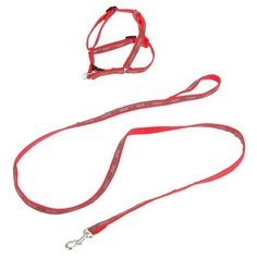 Комплект "Спорт" светоотражающий, ширина 1 см, поводок 1,2 м, шлейка 22-39 см, микс цветов Пижон