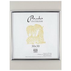 Рамка пластик 30х30, ZEBRA, 513 Зебра