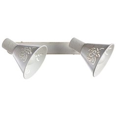 Спот с двумя плафонами Arte Lamp A5218AP-2WG SPOT LIGHTS бело-золотой