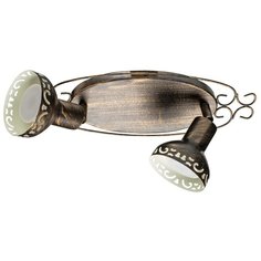 Спот с двумя плафонами Arte Lamp A5219AP-2BR SPOT LIGHTS коричневый