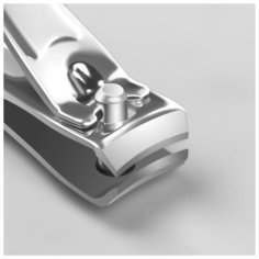 Кусачки-книпсер педикюрные, с пилкой, 8 см, рисунок микс Queen Fair