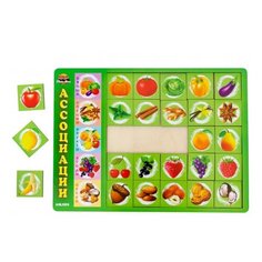 Сортер Ань-Янь Ассоциации-5 (с орешками) ПСД134