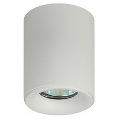 OL1 GU10 WH Подсветка ЭРА накладной, GU10, D80*100мм, белый (50/700) ERA