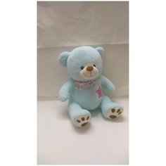 Мягкая игрушка Медведь плюшевый хагс короткошерстный мята 50 см - ABtoys [МХ50/мят]