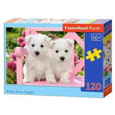Пазл Castorland White terrier puppies (B-13494), 120 дет.
