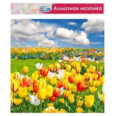 Центрум. Алмазная мозаика 40х50 см арт.87229 "Тюльпаны" без подрамника, частичная выкладка, Centrum