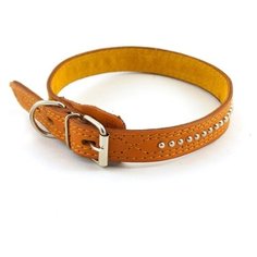 022555 Ошейник 25*55 с фурнитурой Зоомастер