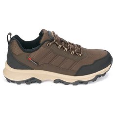 Кроссовки STROBBS размер 43, коричневый