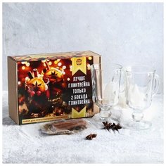 Подарочный набор для глинтвейна «Лучше глинтвейна»: специи 30 г, бокалы 250 мл, 2 шт. Фабрика Счастья