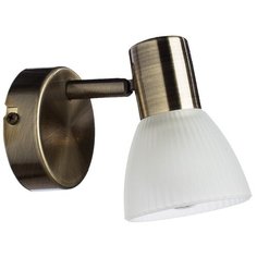 Спот с одним плафоном Arte Lamp A5062AP-1AB SPOT LIGHTS античная бронза