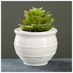 Кашпо керамическое "Вазон" 8*8*6см, цвет микс Сибртех