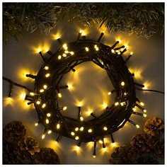 Гирлянда "Нить" 10 м , IP44, УМС, тёмная нить, 100 LED, свечение тёплое белое, 8 режимов, 24 В Luazon Lighting