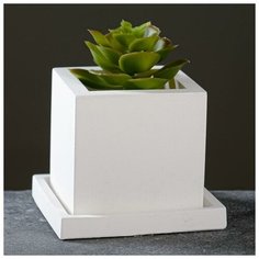 Фигурное кашпо "Куб с поддоном" белое, 8х6х6см Pasabahce