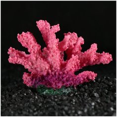 Декор для аквариума "Коралл", 10*5*6,5 см Сима ленд
