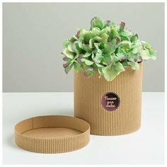 Шляпная коробка из микрогофры «Только для тебя», 15 х 15 см Арт Узор