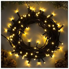 Гирлянда "Нить" 10 м , IP44, УМС, тёмная нить, 100 LED, свечение тёплое белое, фиксинг, 24 В Luazon Lighting