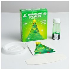 Набор для творчества «Лучистые кристаллы»: Ёлочка, цвет зелёный Школа талантов