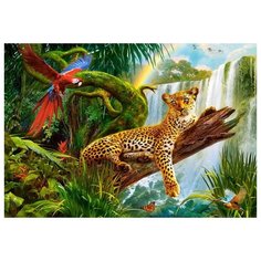 Пазл Castorland 1000 Леопард, 1000 деталей Castor Land