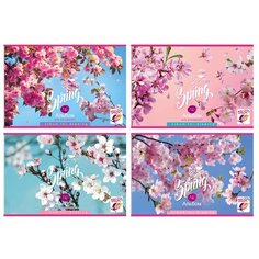 Альбом для рисования А4, 16л BG "Spring bloom" (100 г/кв.м, скрепка) 4шт. (АР4ск16 7628) BG®