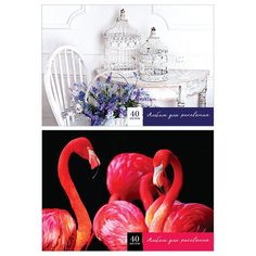 Альбом для рисования А4, 40л ArtSpace "Яркий акцент" (100 г/кв.м) 5шт. (А40кл_14809)