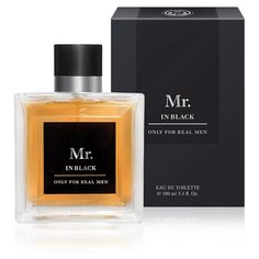 Туалетная вода Christine Lavoisier Parfums Mr. In Black, 100 мл