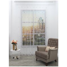 Тюль Amore Mio RR 241778-w/3125, цвет: брусничный, 300x270 см