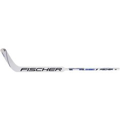 Вратарская клюшка Fischer GW250 Yth 19" R31 (правый)