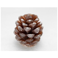 Силиконовая форма для мыла "Шишка 3D маленькая" 2226 3803993 Сима ленд