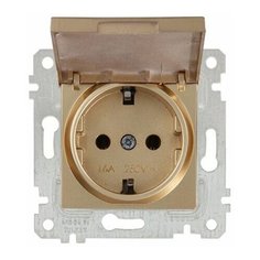 Розетка 1-ая (скрытая, без рамки, с/з, с крышкой) золото, RITA, MUTLUSAN (16 A, 250 V, IP 20) (2200 610 0280)