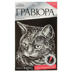 Гравюра Школа талантов Британская кошка (2108194) серебристая основа