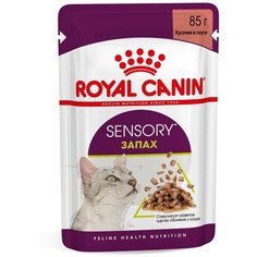 Royal Canin влажный корм для взрослых кошек, стимулирующий обонятельные рецепторы, соус (12шт в уп) 85 гр