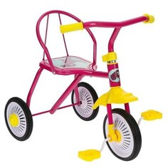 Трехколесный велосипед Micio TR-311, розовый