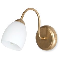Настенный светильник Vitaluce V3253/1A, E14, 40 Вт, кол-во ламп: 1 шт., цвет арматуры: золотой, цвет плафона: белый
