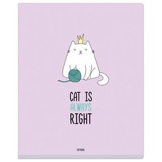 Тетрадь общая 48л, А5 MESHU "Right cat" (клетка, матова ламинация, выборочный УФ-лак) 10шт. (MS_31326)