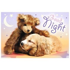 Пазл Trefl Sweet & Lovely - Спокойной ночи (17270), 60 дет.