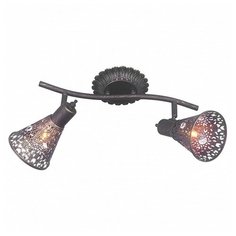 Спот Favourite Arabian Drim 1797-2U