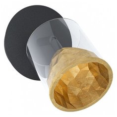 Спот Eglo Melito 39573