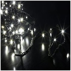 Гирлянда Нить 10м, 100 белых холодных LED, с трансформатором, IP44 China Dans International