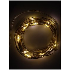 Гирлянда Нить "Роса", 2 м, 20 LED белых тёплых диодов, на батарейках China Dans International