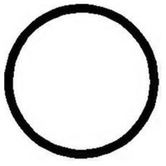 Прокладка термостата Elring 977.447