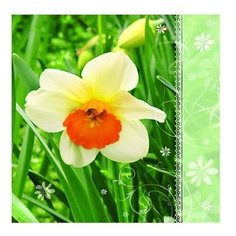 Салфетки сервиров.Daisy Нарцисс, 33х33х3сл., 20шт Pol Mak