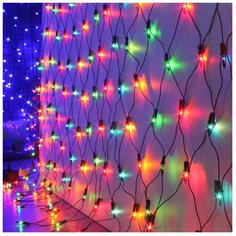 Гирлянда Sh Lights Сетка для помещениЙ 200 х 100 см NT200C-M, 200 ламп