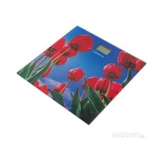 Весы Homestar HS-6001I .