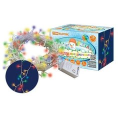 Гирлянда светодиодная СГ100M10, многоцвет., 10М, 8 режимов, 250 В, TDM