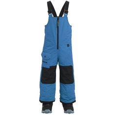 Полукомбинезон BURTON размер 2T, Celestial
