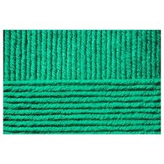 Пряжа для вязания ПЕХ "Зимняя премьера" (50% мериносовая шерсть, 50% акрил) 10х100г/150м цв.742 бильярд Пехорка