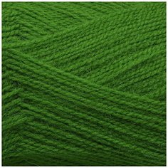 Пряжа для вязания ПЕХ "Ангорская тёплая" (40% шерсть, 60% акрил) 5х100г/480м цв.119 горох Пехорка