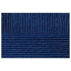 Пряжа для вязания ПЕХ "Молодёжная" (91% акрил высокообъемный, 9% полиамид) 5х200г/280м цв.004 т.синий Пехорка